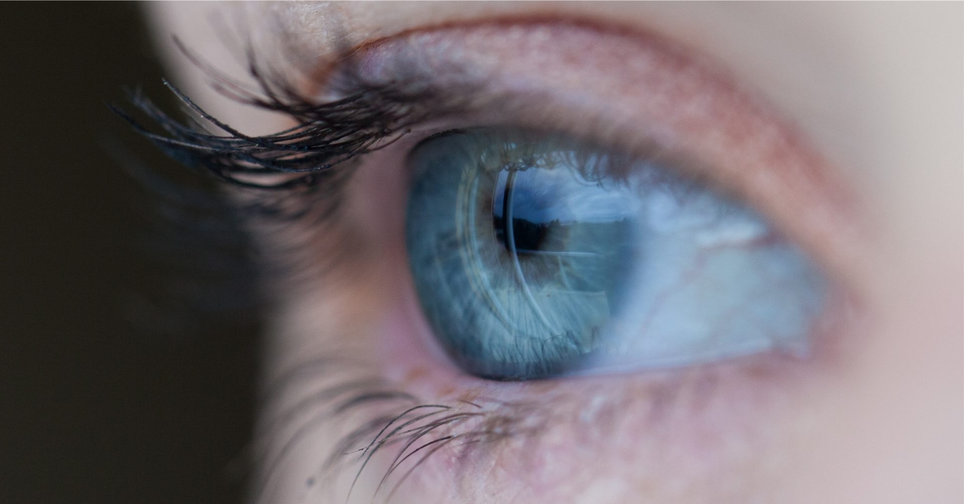 Close up of a Blue Eye